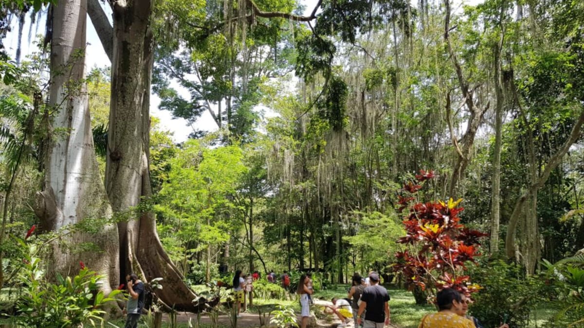 ¿Qué hacer en el parque El Gallineral? Precio y cómo llegar desde Bucaramanga