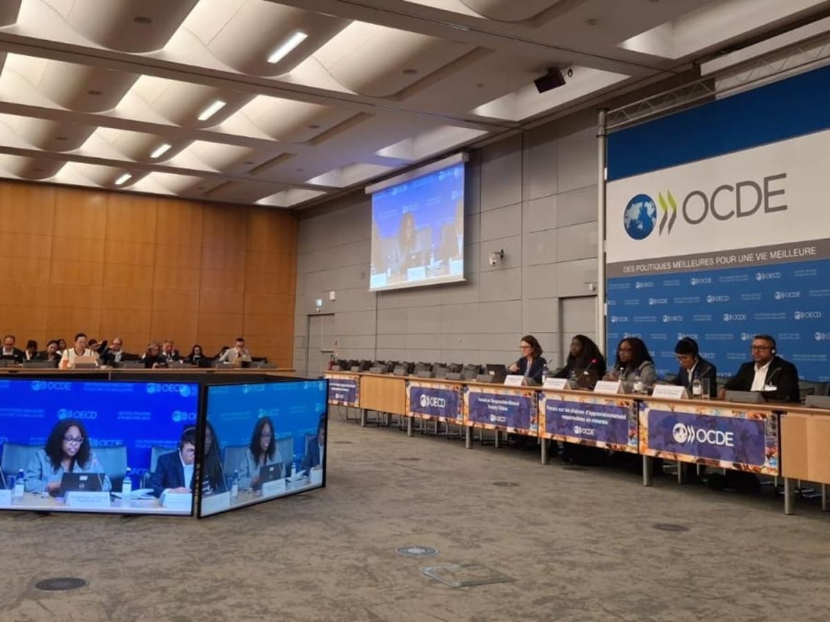 Alianza entre el GEB y la OCDE logra traducción sobre el Gobierno Corporativo de Empresas Públicas