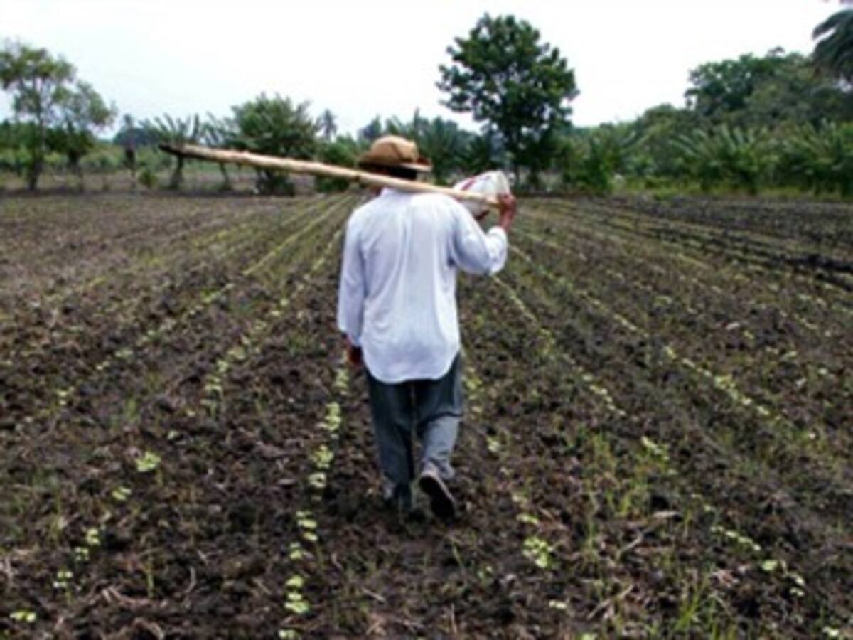Sectores agrarios cuestionan manejo a Zonas de Reserva Campesina