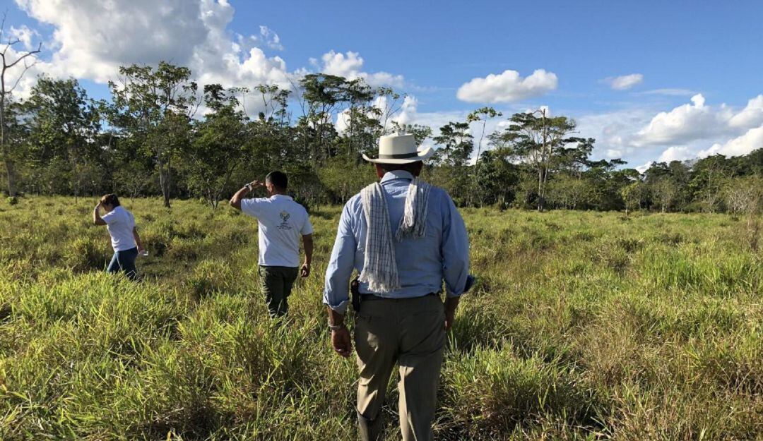 A la fecha se han presentado 1.968 solicitudes en demanda ante los jueces y se han proferido un total de 863 sentencias.