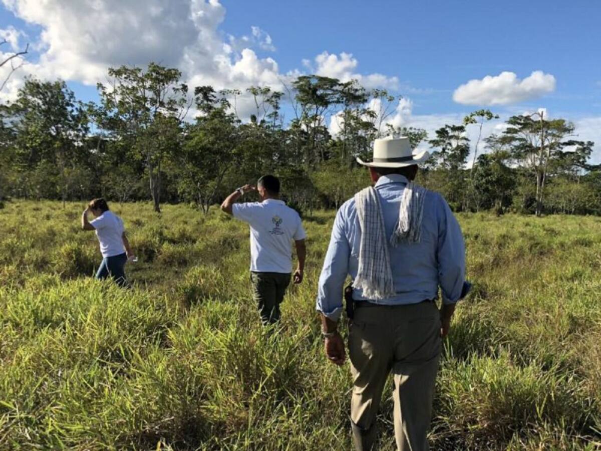 Más de mil familias del Tolima esperan recuperar sus predios despojados