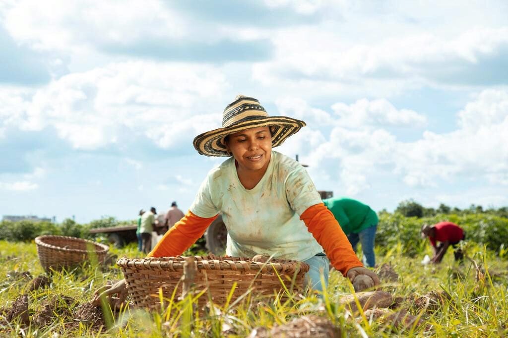 Centro RS en Desarrollo Social, Iniciativas Empresariales, Medio Ambiente