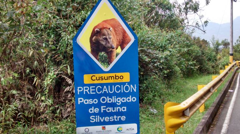 Campaña para proteger fauna silvestre en Envigado. 