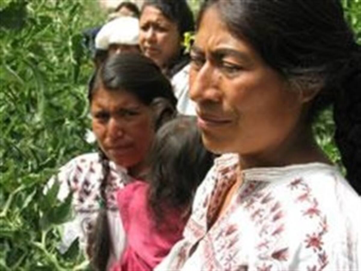 Mujeres indígenas, ejemplo de conservación ambiental