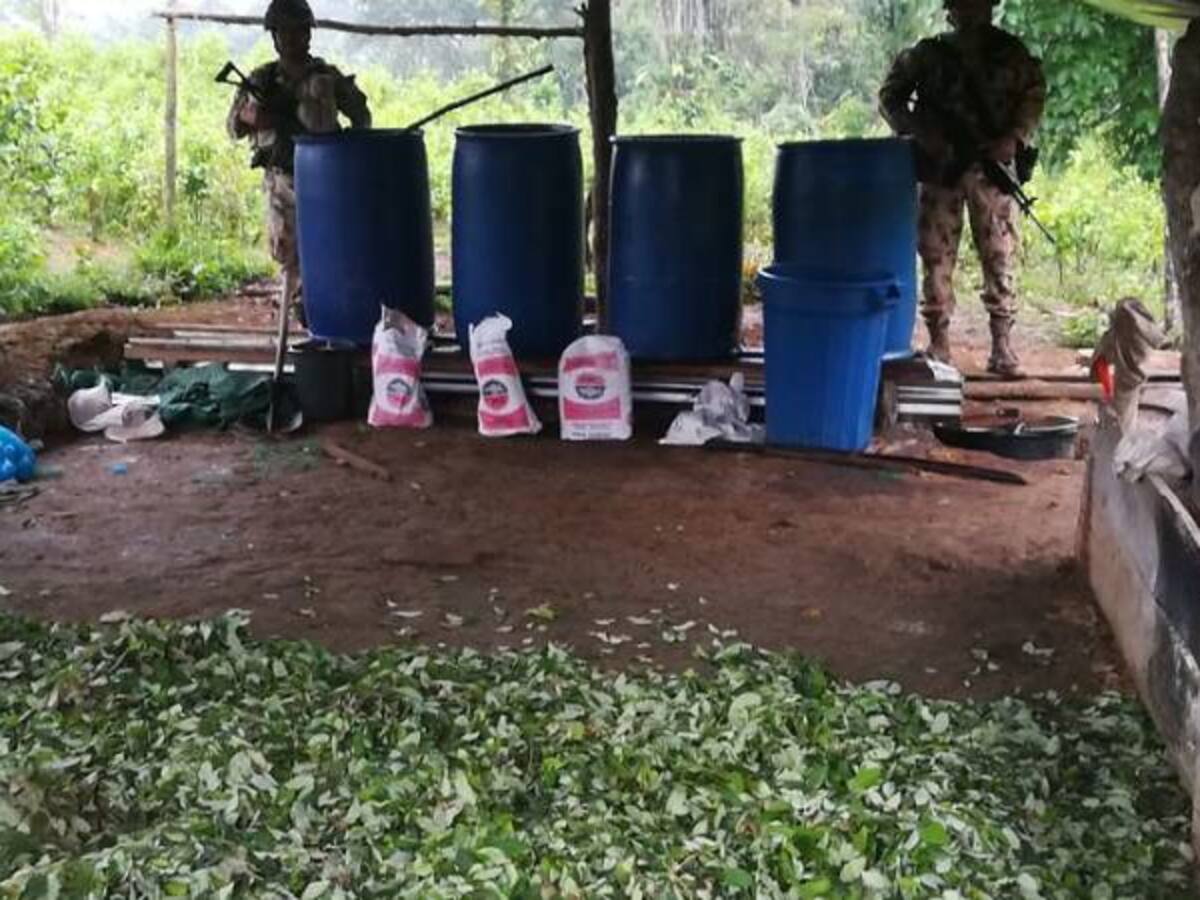 La ONU espera que el proceso de paz en Colombia reduzca cultivos de coca