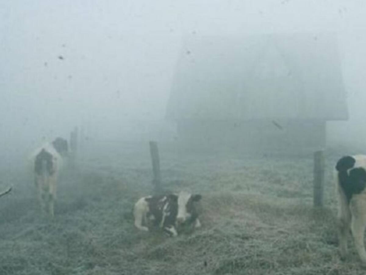Ideam reporta heladas en algunas zonas del altiplano cundiboyacense