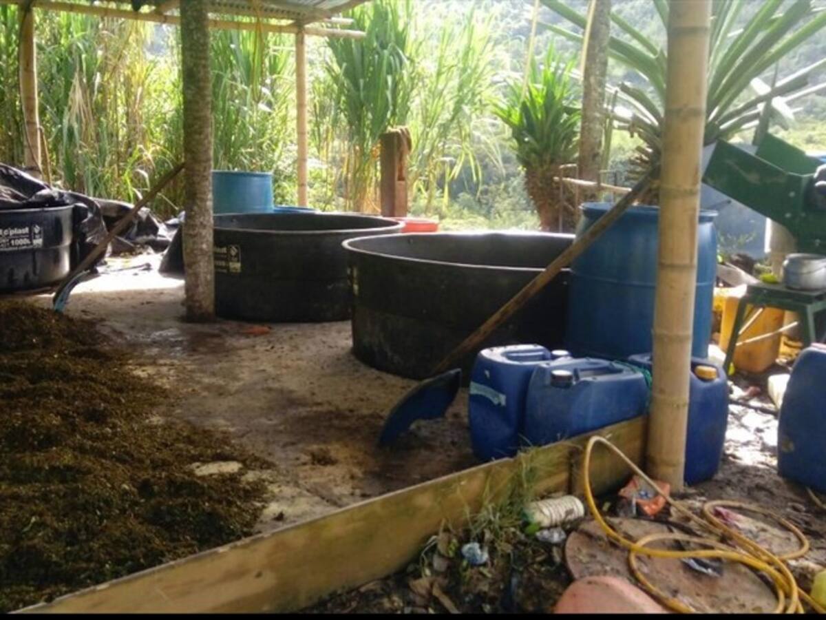 Ejército desmonta cuatro laboratorios del ELN en el Catatumbo