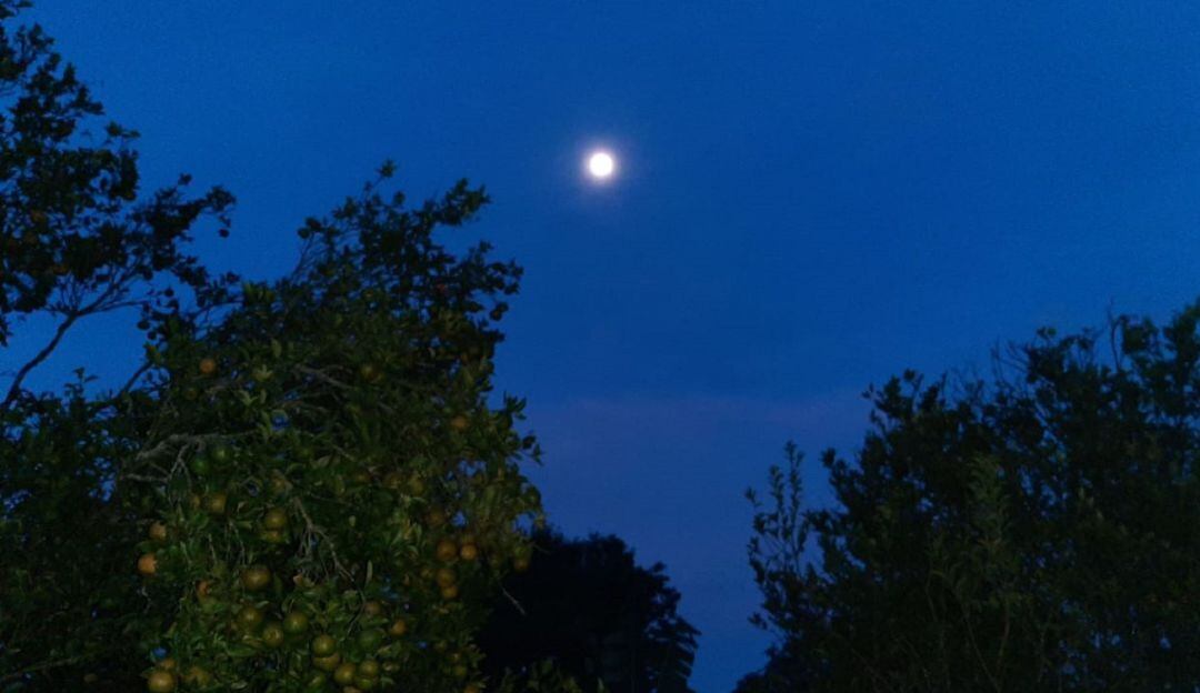 Amanecer desde una finca en zona rural del municipio de Circasia, Quindío