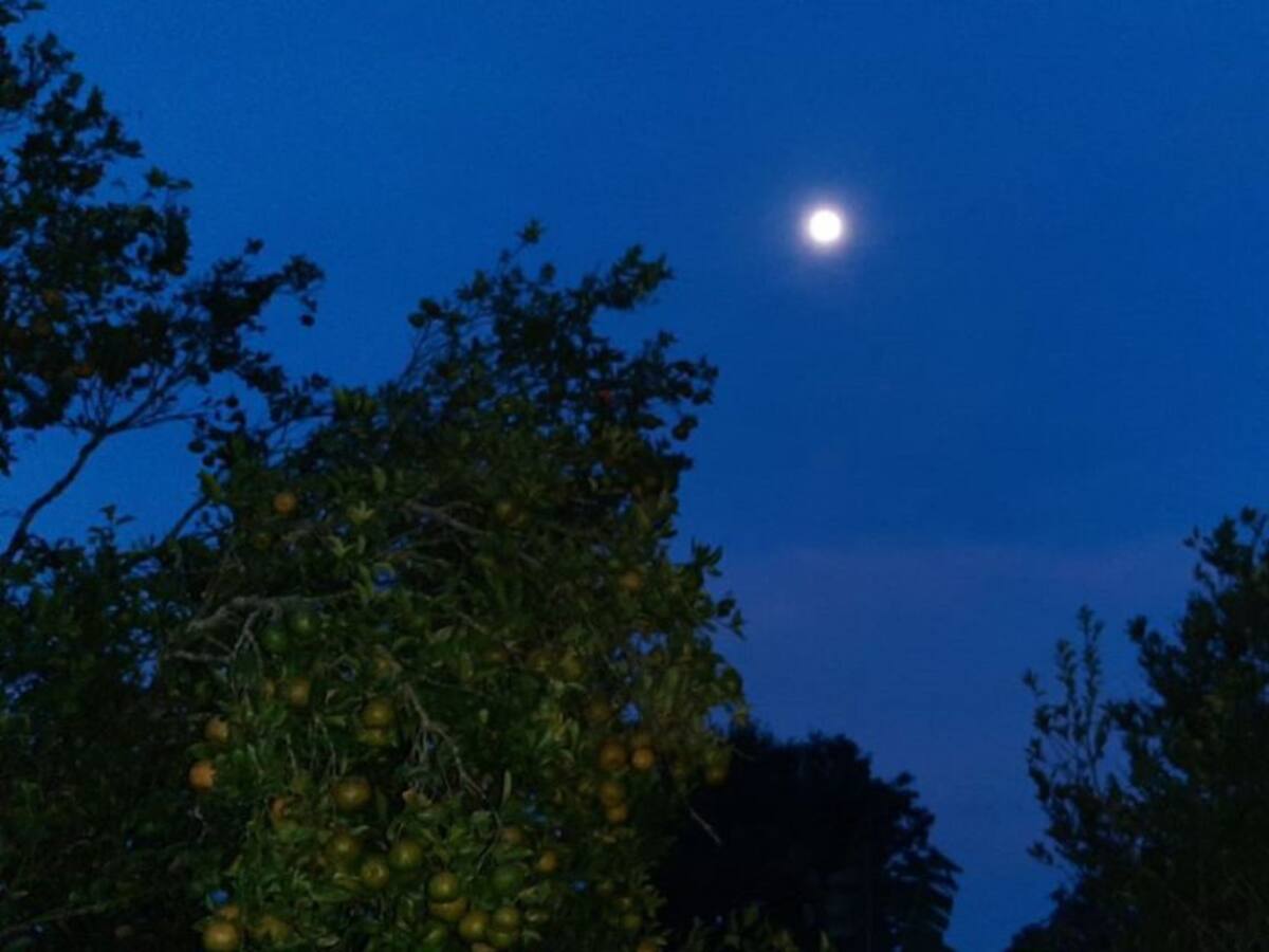 Las noticias más importantes de Armenia y el Quindío, jueves 6 de agosto