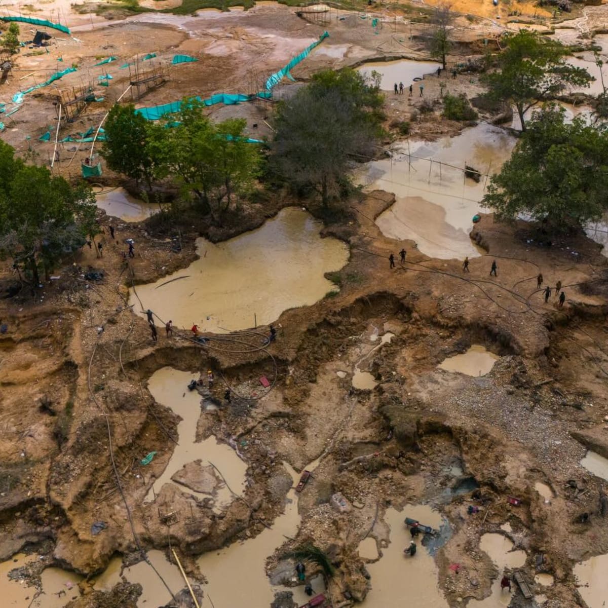 Por denuncia de minería ilegal en el batallón de Cáceres, Mindefensa ordenó investigación urgente