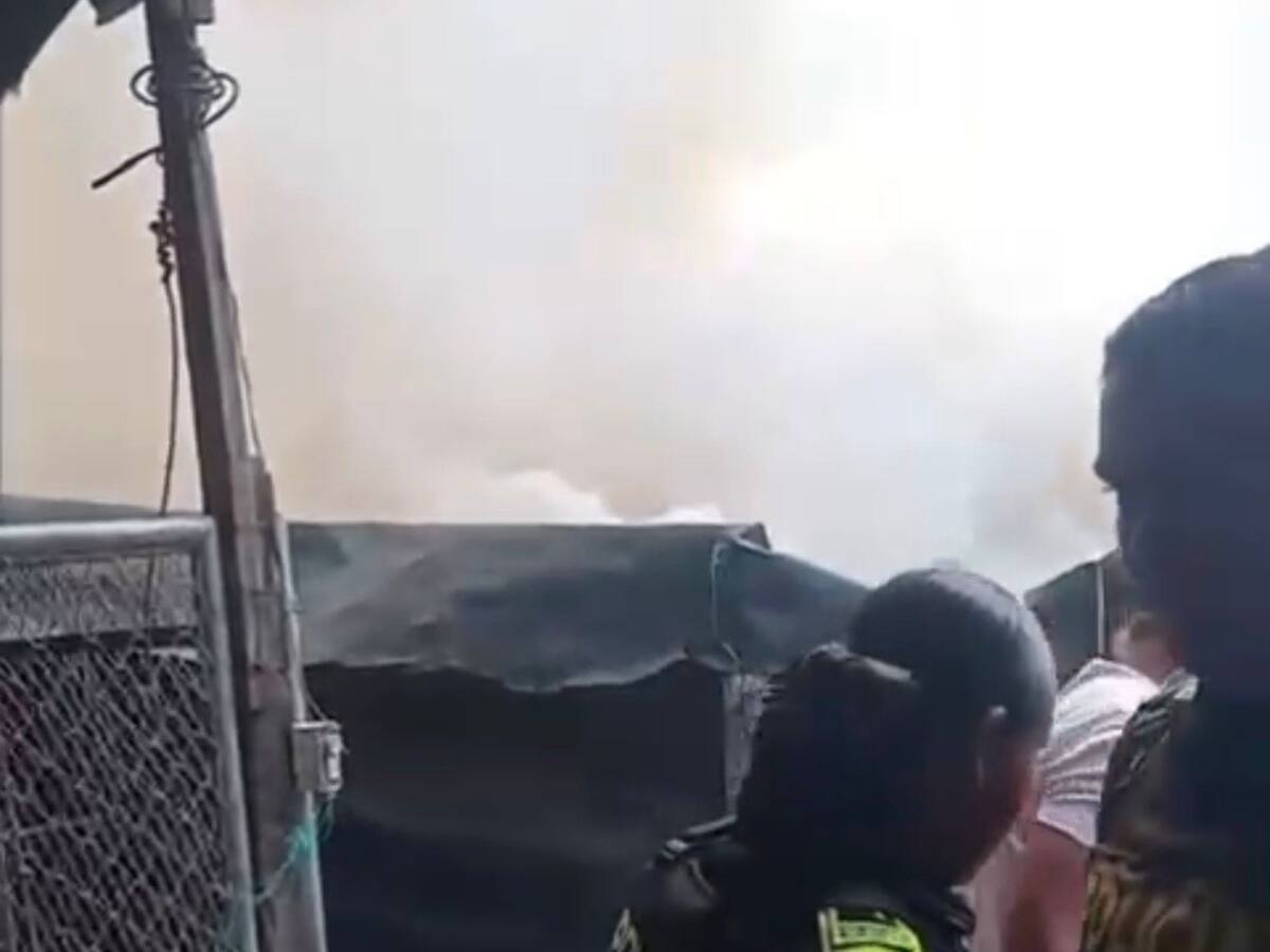 Policías y comunidad controlan incendio forestal en Calamar