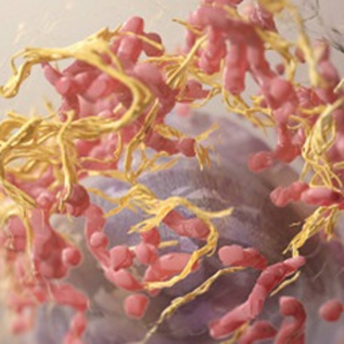 Exploran y descubren 21 pistas sobre el origen del cáncer