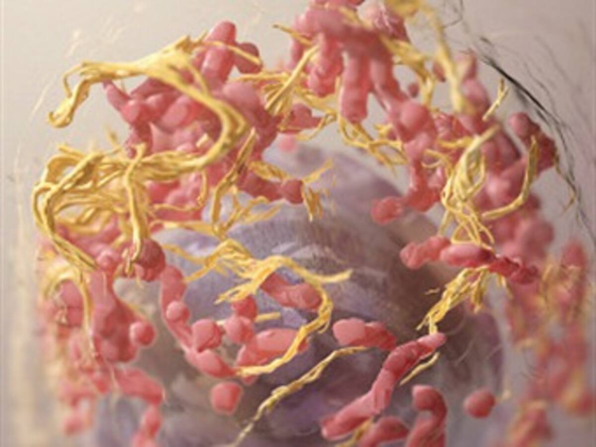 Exploran y descubren 21 pistas sobre el origen del cáncer