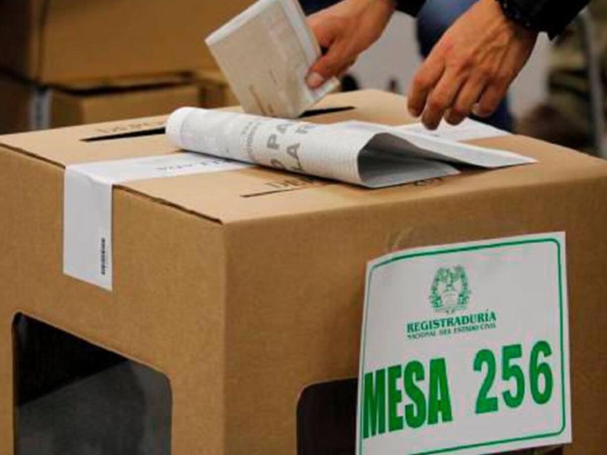 100 observadores de la MOE estarán supervisando elecciones en Tolima