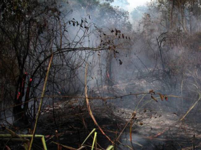 Incendio forestal dejó una persona muerta