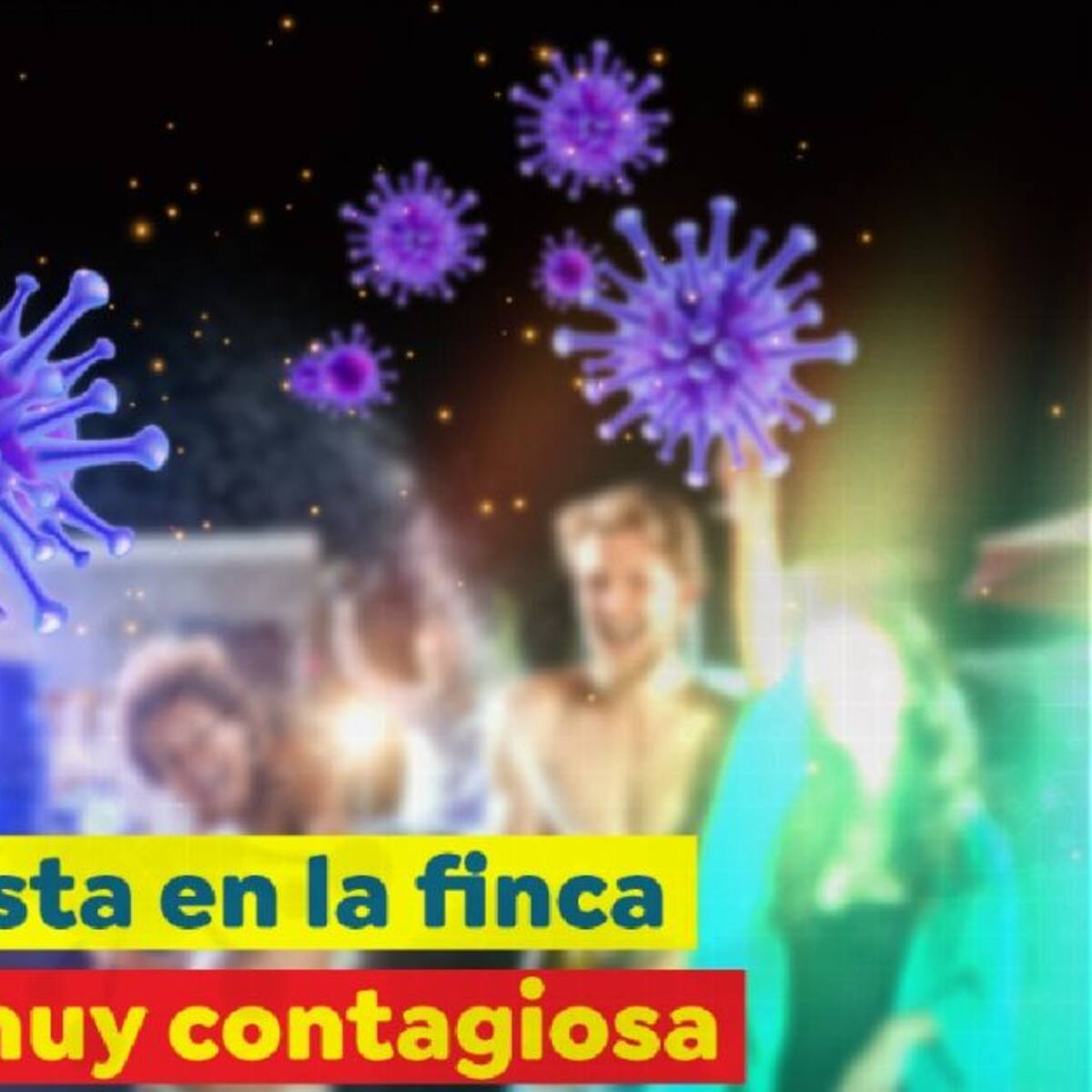Control especial a reuniones, paseos y fiestas en los puentes y la navidad