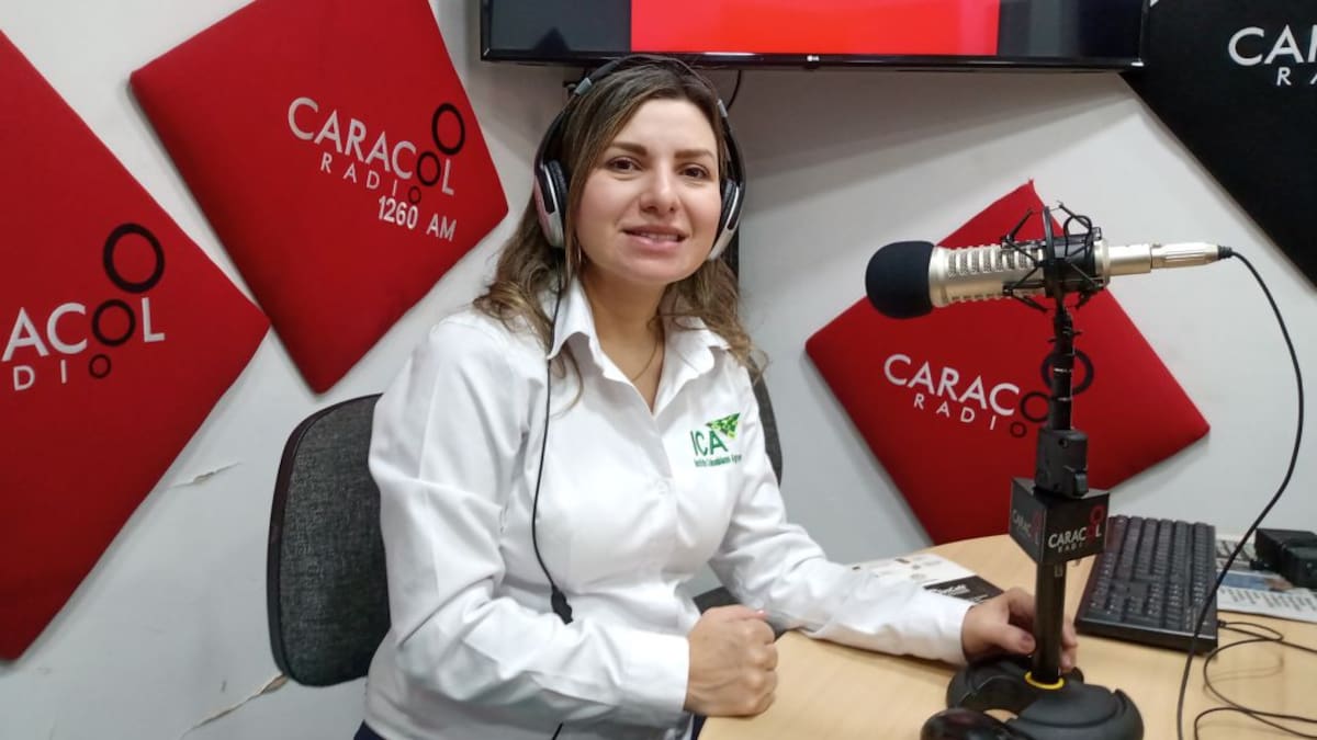 El ICA Tolima y el acompañamiento a los productores de la región