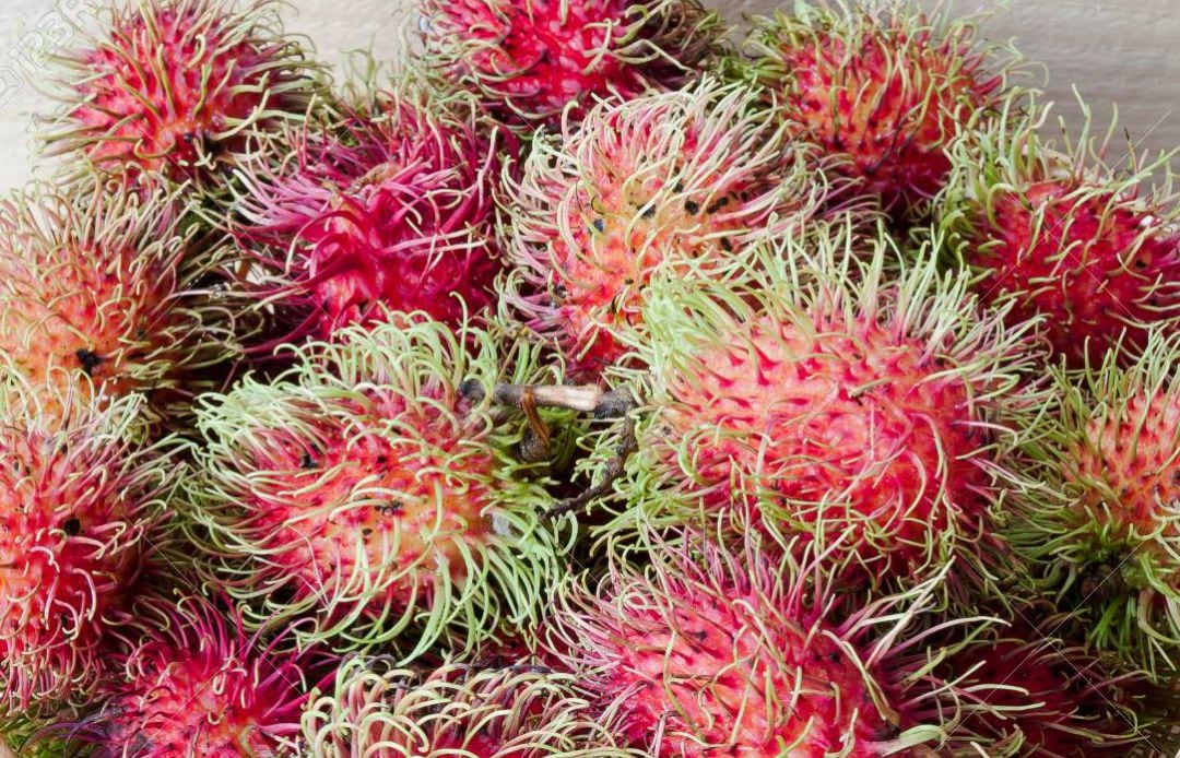 Rambután