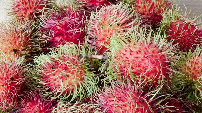 Rambután