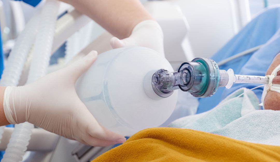 Imagen de referencia