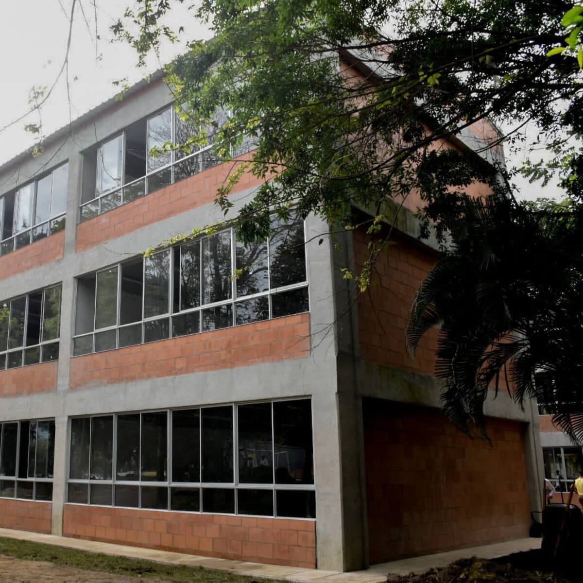 Este miércoles festivo, normalidad en clases en colegios de Ibagué y el Tolima