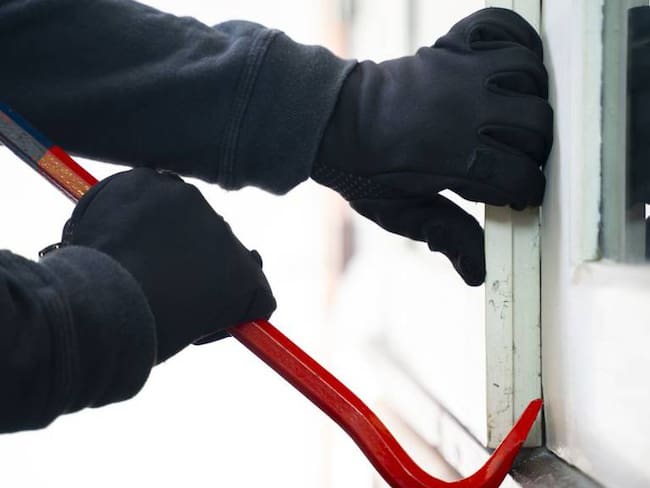 Imagen de referencia