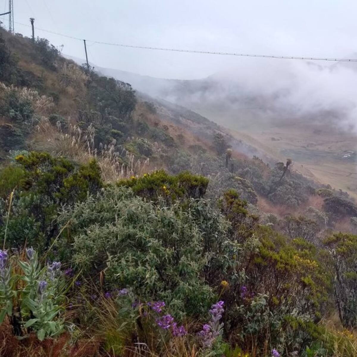 En Villamaría se estrena la Vía Láctea para disfrutar del Ruíz