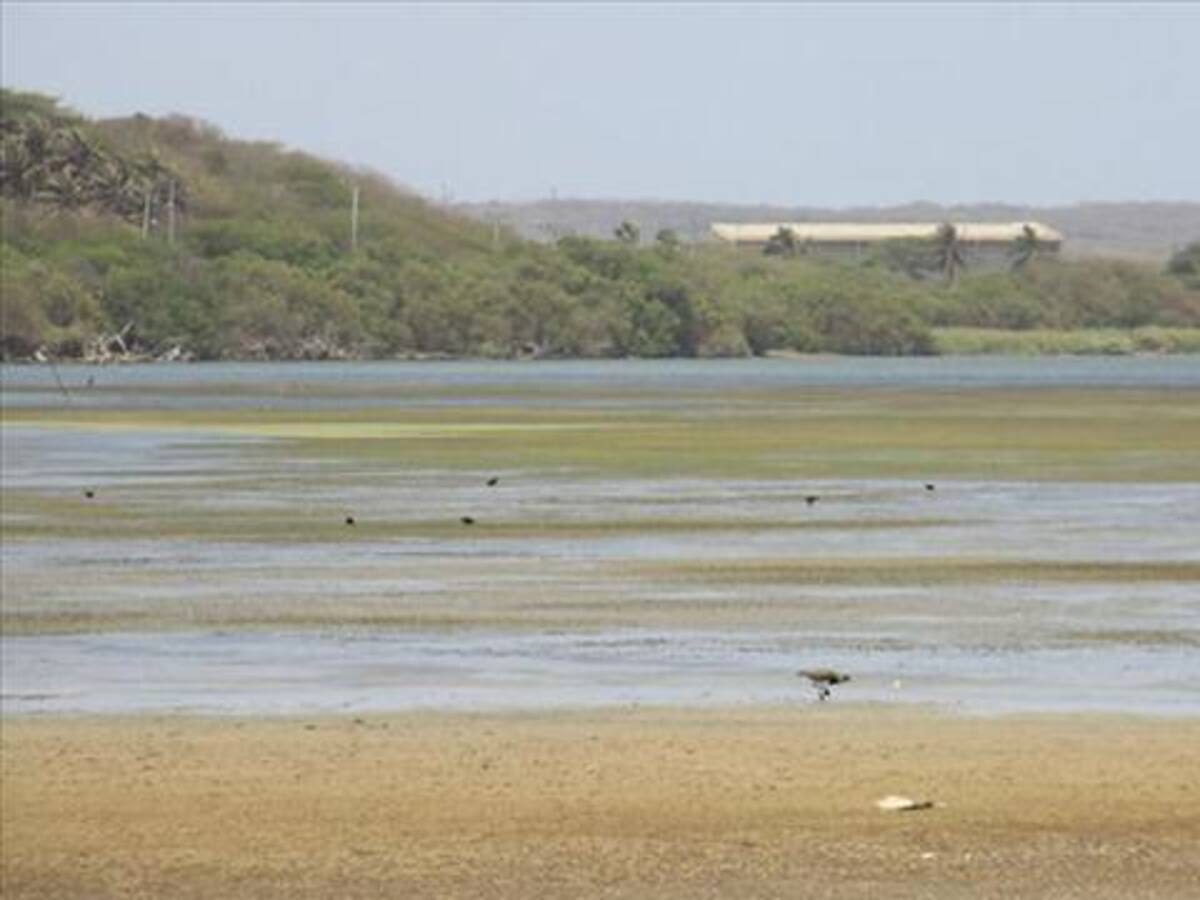 3600 millones de pesos para municipios en calamidad pública en el Atlántico