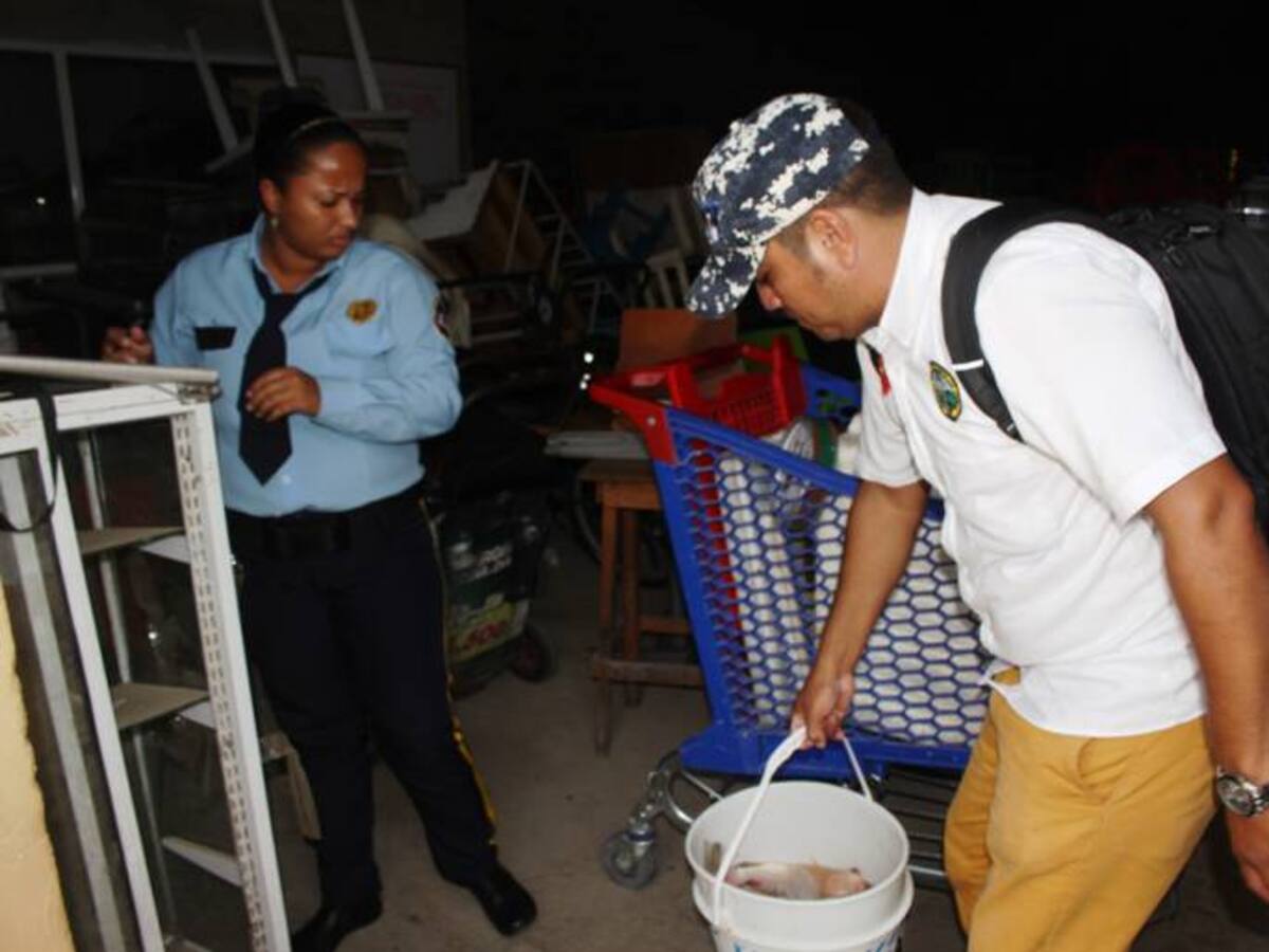 Decomisan mobiliario y alimentos no aptos para el consumo en Cartagena