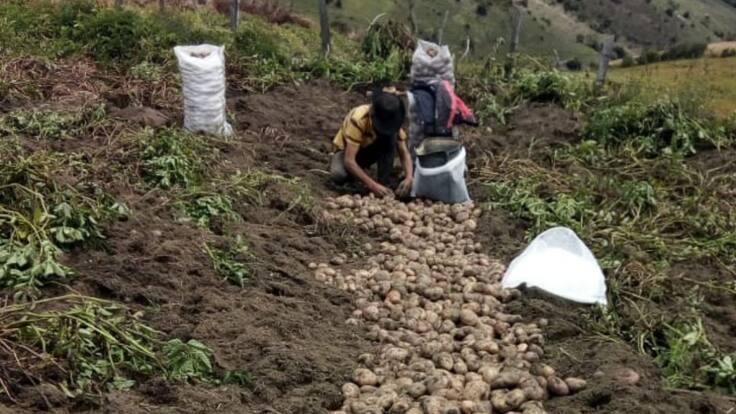 En Santander paperos también están en crisis económica