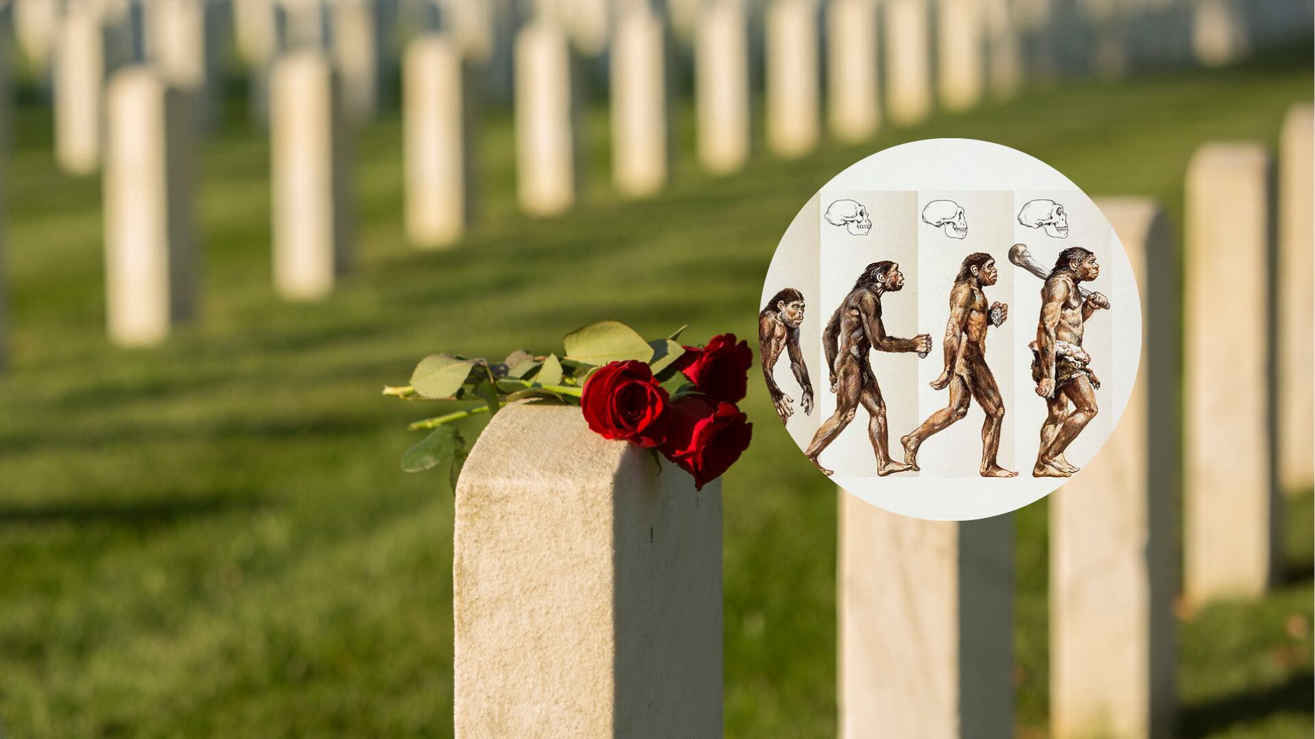 Evolución - Getty Images