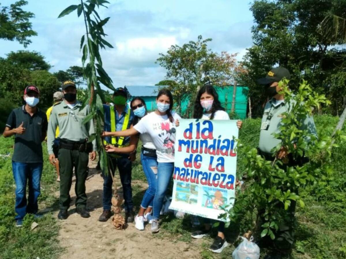 Más de 100 árboles de diferentes especies fueron plantados en Mompox