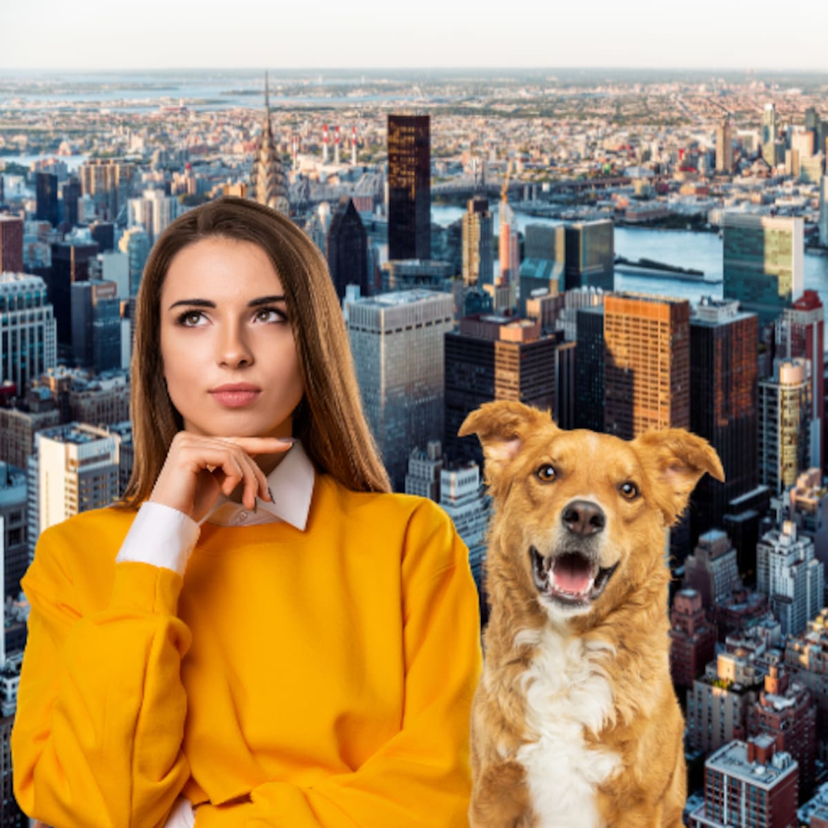 Cómo vivir en Nueva York GRATIS cuidando casas y mascotas: requisitos y perfil que buscan