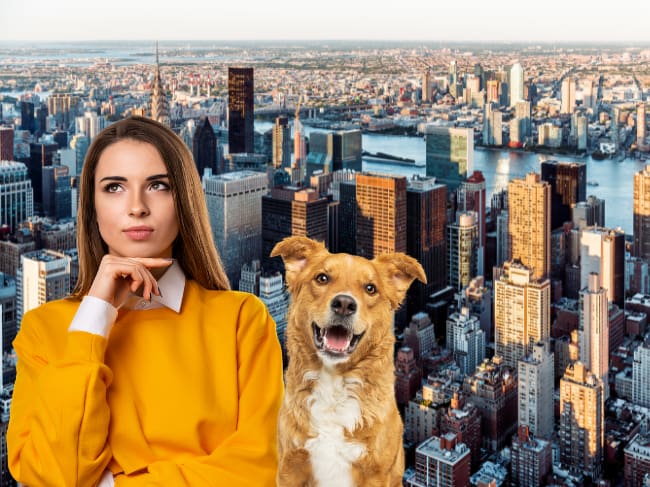 Cómo vivir en Nueva York GRATIS cuidando casas y mascotas: así funciona el housesitting