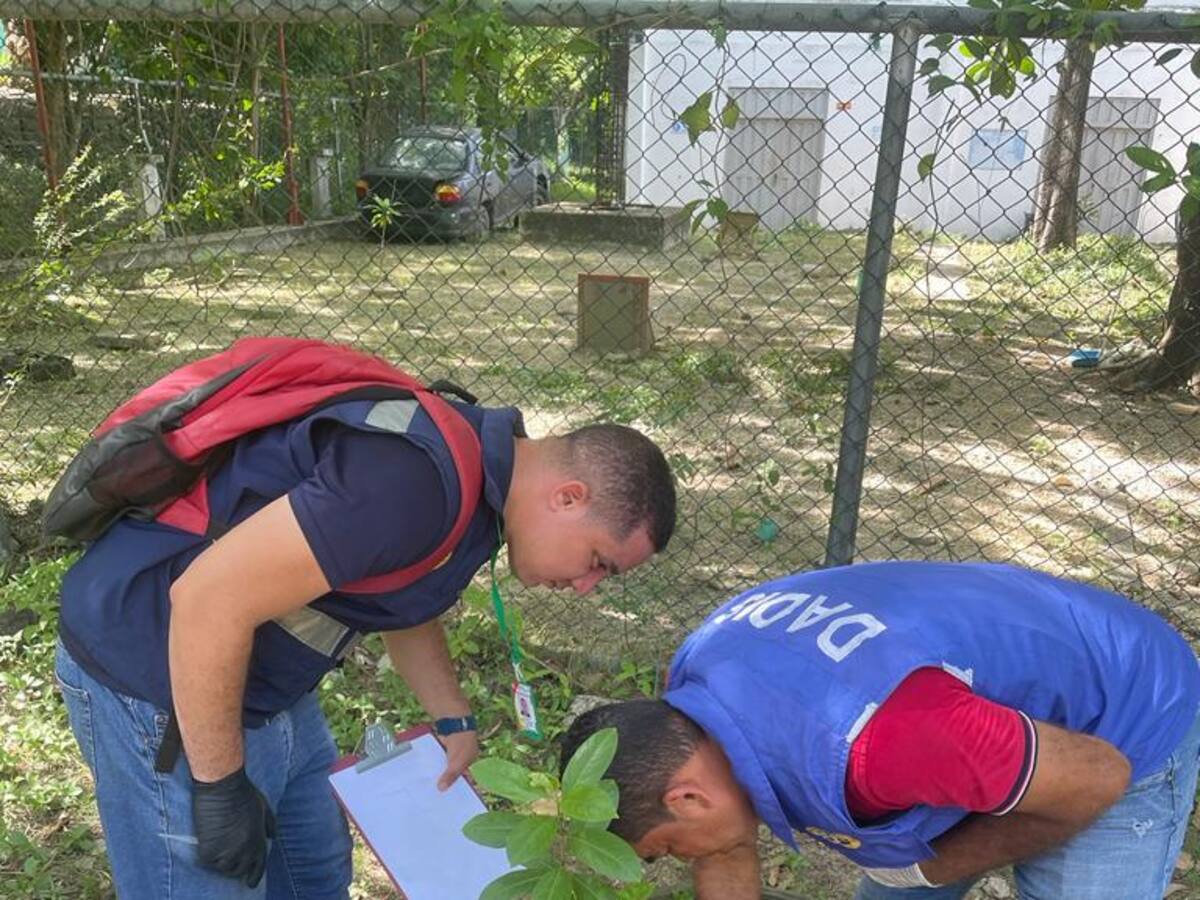 Cartagena mejoró en indicadores dengue y salió de zona de brote: Dadis