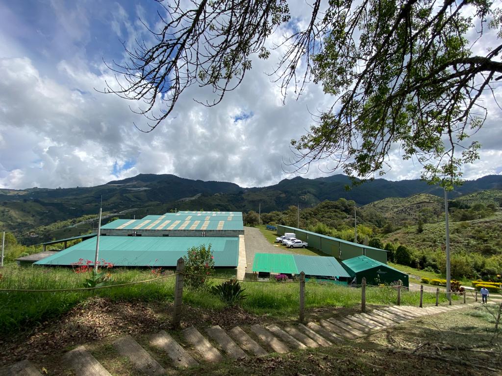 Imagen Caracol Radio