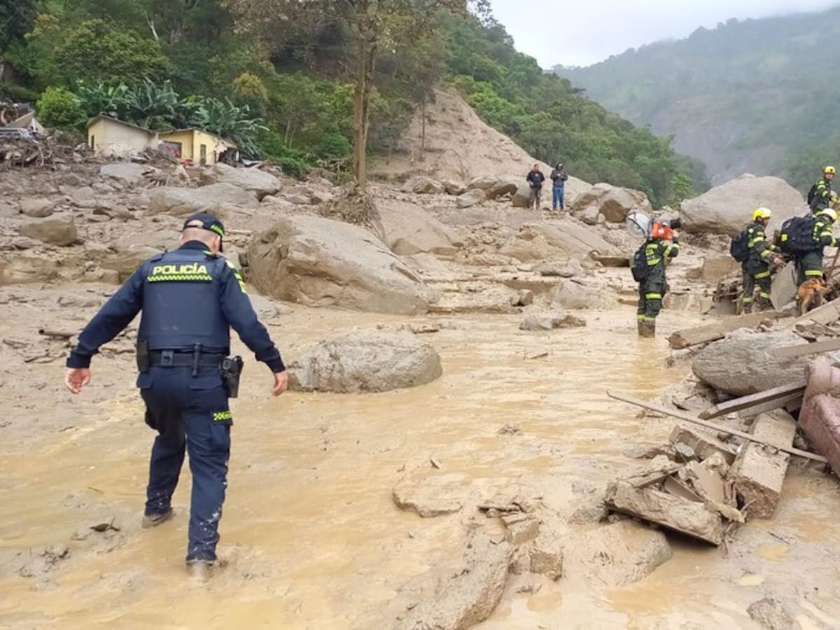 La deforestación y el cambio climático causas de la emergencia en Quetame: CCI