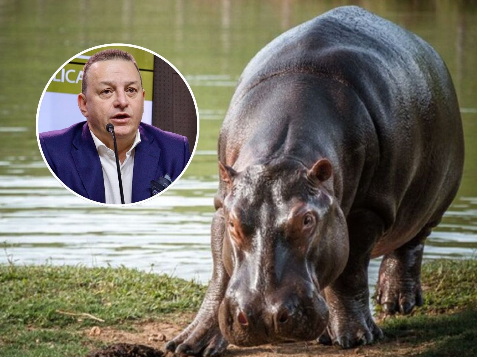 Foto: Colprensa (archivo) - Carder