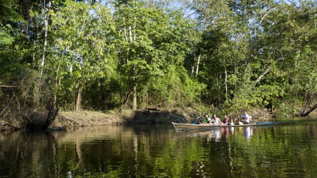 La forestería comunitaria en la puerta de la Amazonía