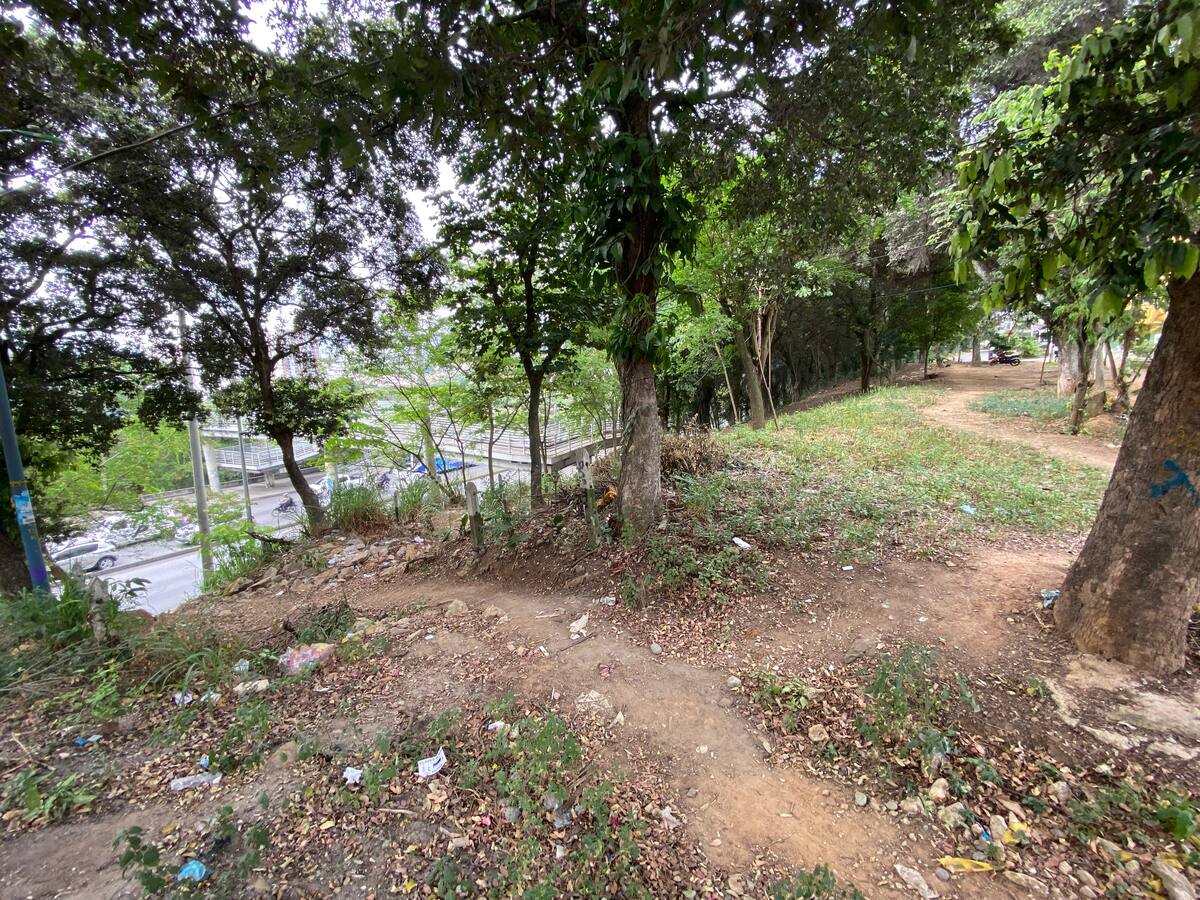 Se reinicia el proyecto ‘Borde Sur’ en La Victoria