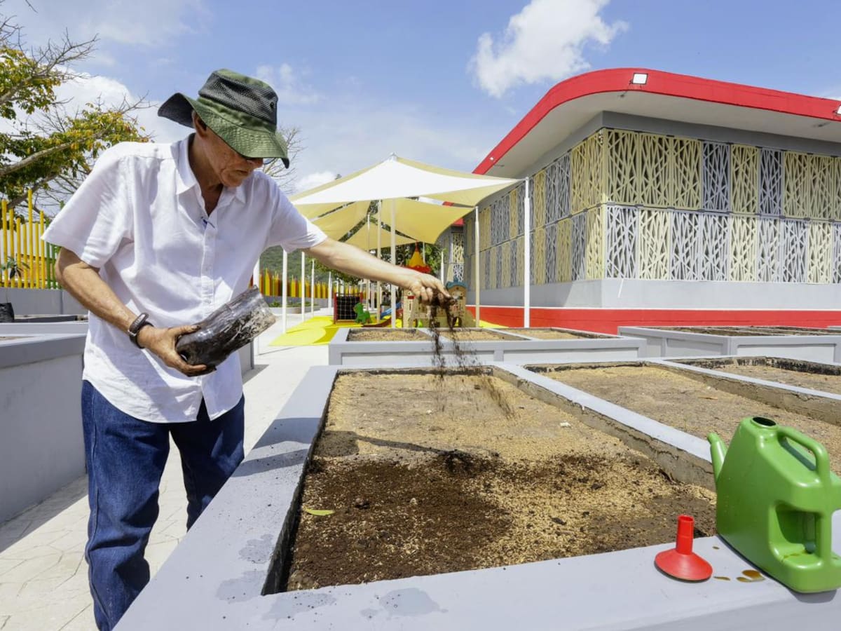 Institución Educativa Jorge Artel y su componente ambiental: una huerta escolar