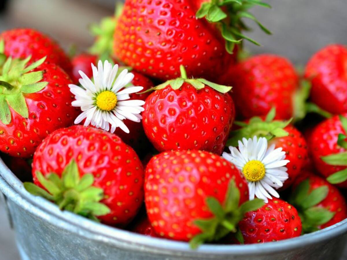 ¿Influye la alimentación en nuestro estado de ánimo?