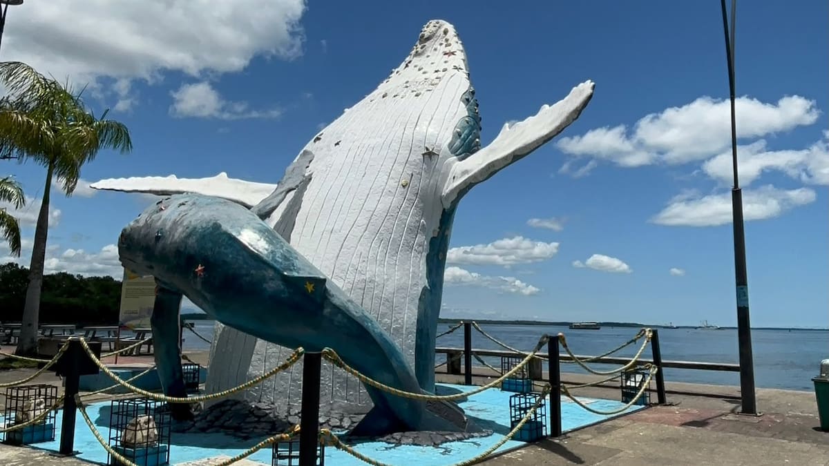 Buenaventura busca recuperar el turismo tras semanas de crisis por violencia y bloqueos