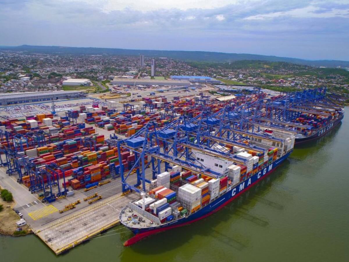 Exportan ñame de El Carmen de Bolívar a países europeos