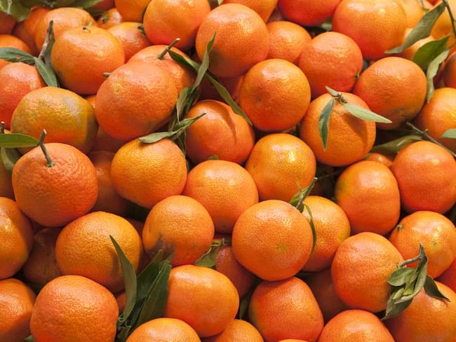 El 80% de la mandarina se está perdiendo, dicen productores