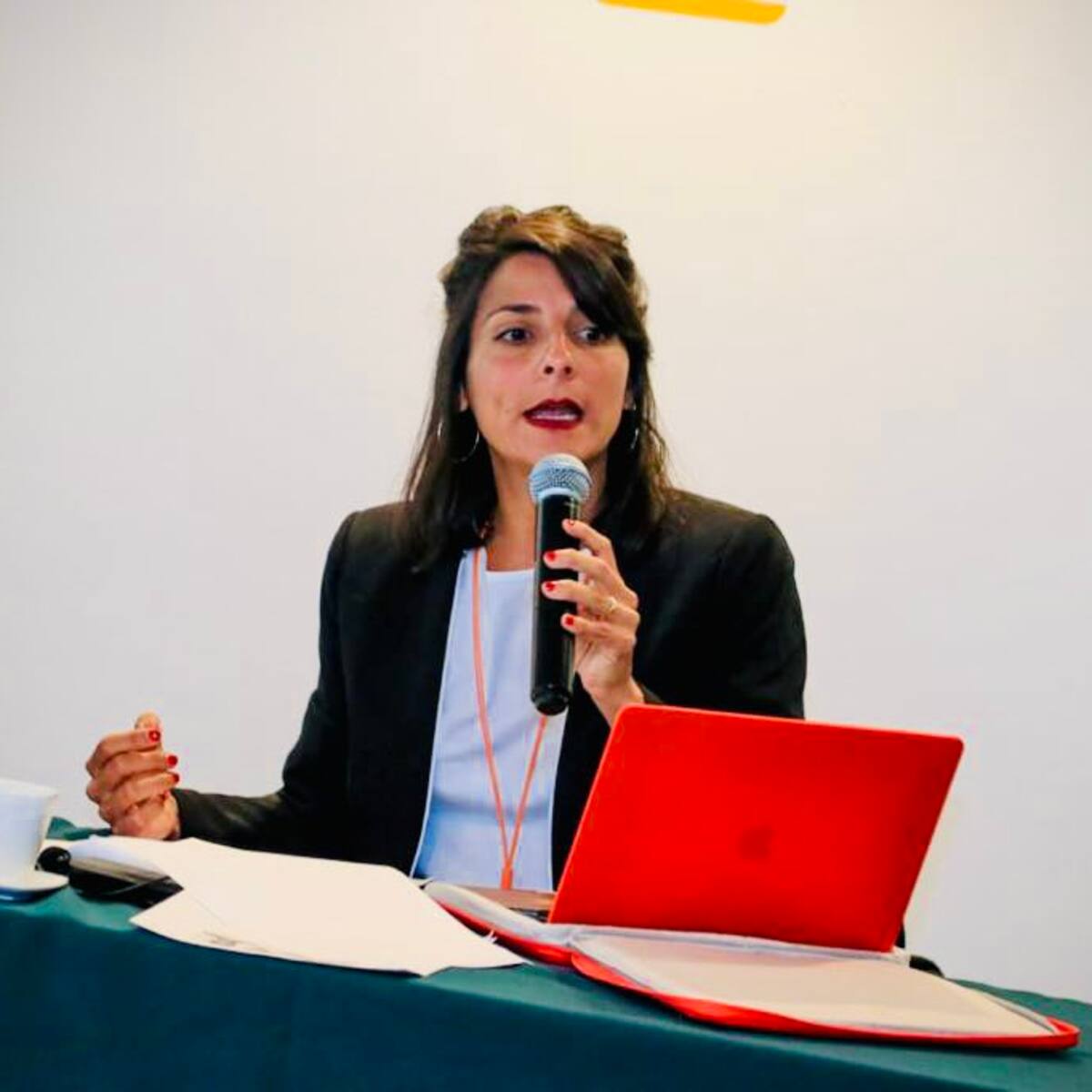 Llamado de atención a Irene Vélez por Ley 5: ¿qué dicen en el Congreso?