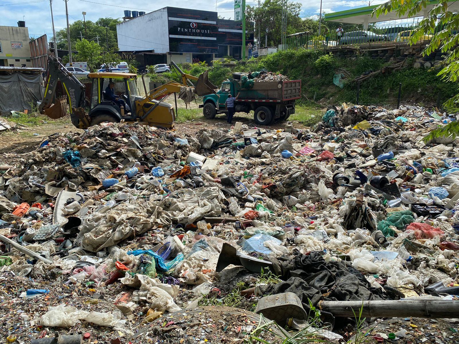 Campaña de recuperación ambiental a través de una “sembratón”. Foto Alcaldía Neiva