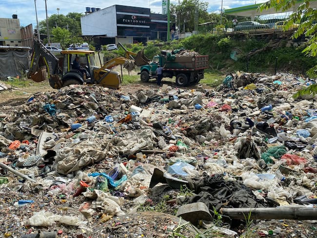 Campaña de recuperación ambiental a través de una “sembratón”. Foto Alcaldía Neiva
