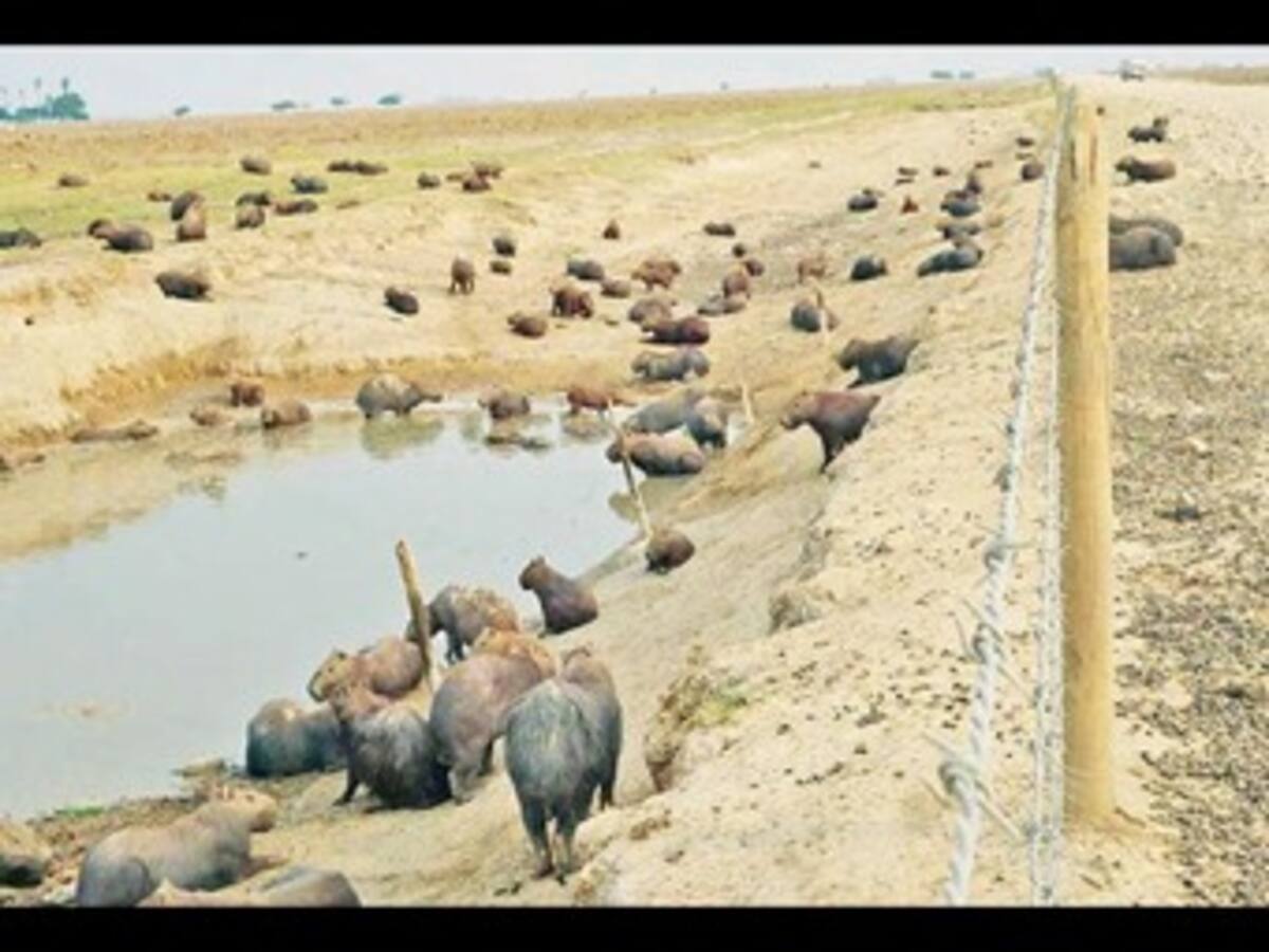 A entrevista en la Fiscalía el gobernador de Casanare