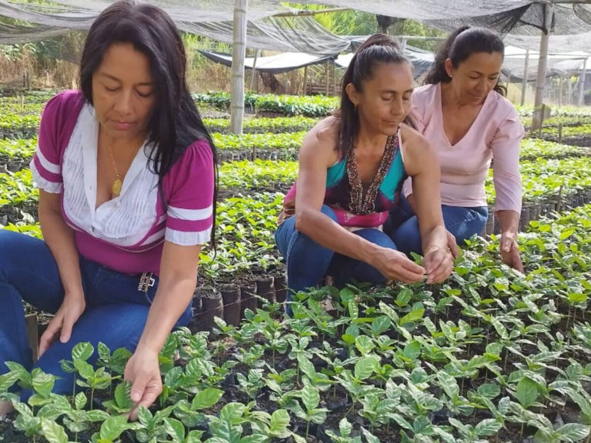 Más de 11.000 campesinos huilenses serán beneficiados con el servicio de extensión